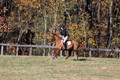 Theresa Thompson on Rated PG, Novice Horse Trials Senior