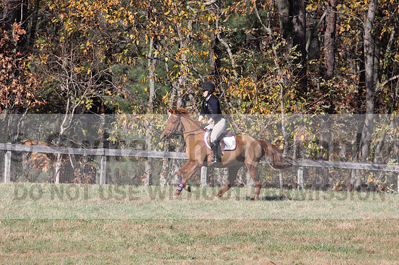 Theresa Thompson on Rated PG, Novice Horse Trials Senior