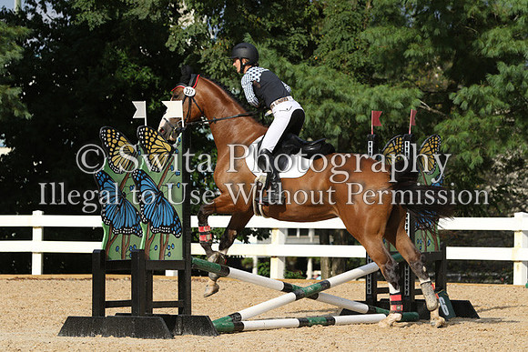 V25K3648