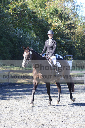 Wenzhao Zhang on High Roller, Beginner Novice Senior Horse Trials A