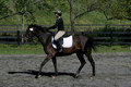 Jenny Rosner on Evita K, Advanced Green HT Senior