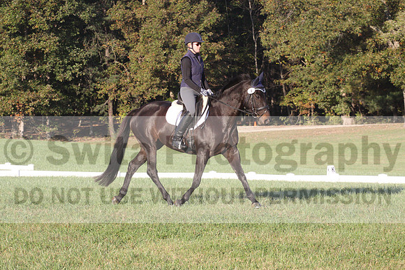 Liz Hall on Indelible, Training Horse Trials