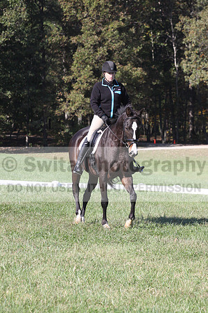 Mimi Combs on Aristocrat, Beginner Novice Horse Trials Senior A