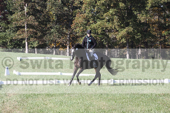 Mimi Combs on Aristocrat, Beginner Novice Horse Trials Senior A