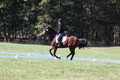 Elaine Groves on Luidonna, Beginner Novice Horse Trials Senior B