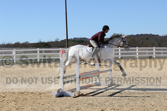 Shannon Bower on Bastille, Beginner Novice Combined Test