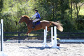 Amy Parsons on Wren Wrouge, Beginner Novice Senior HT B