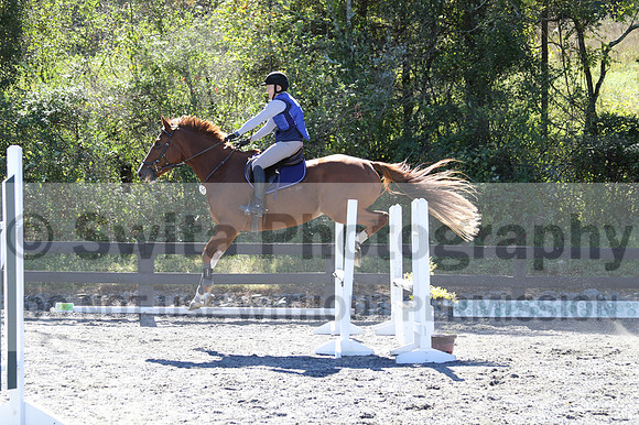 Amy Parsons on Wren Wrouge, Beginner Novice Senior HT B