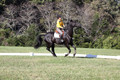Madlen Lesesne on SBF Figaro, Advanced Green Horse Trials B