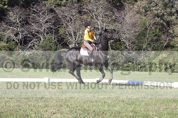 Madlen Lesesne on SBF Figaro, Advanced Green Horse Trials B