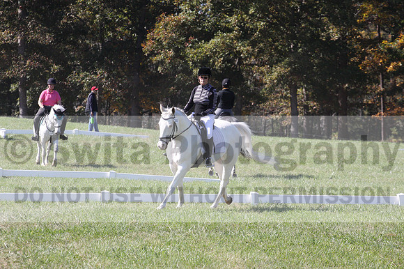 Kay Brady on Destiny's Mystique, Beginner Novice Horse Trials Senior C