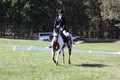Holly Holbrook on Two Bet Chloe, Beginner Novice Horse Trials Junior A