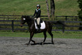Jenny Rosner on Evita K, Advanced Green HT Senior