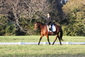 Paula McConnell on Summers Lilac, Dressage Only: Beginner Novice A