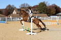 Elizabeth Brown on Adagio, Advanced Green Horse Trials Senior A