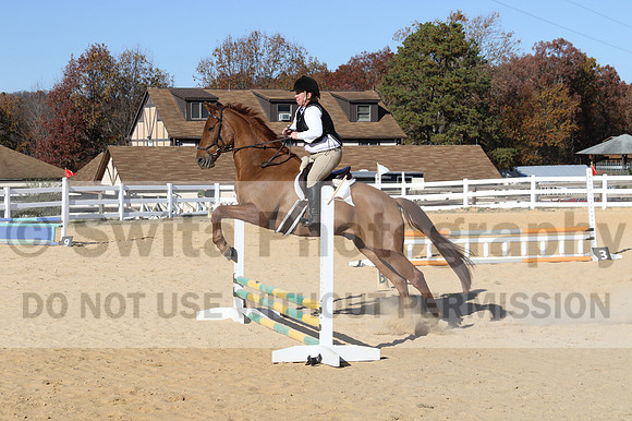 Elizabeth Brown on Adagio, Advanced Green Horse Trials Senior A