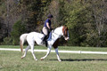 Elizabeth Schooley on Pearl, Advanced Green Horse Trials A