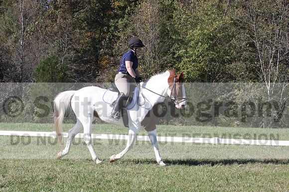 Elizabeth Schooley on Pearl, Advanced Green Horse Trials A