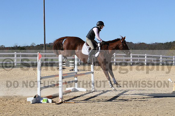Julia Rhinehart on On A Quest, Novice Horse Trials Senior