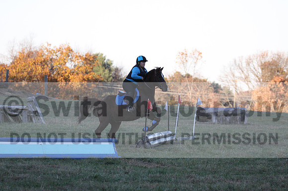 Alison O'Connor on Harwich Maximus, Green Horse Trials Senior