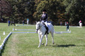 Kay Brady on Destiny's Mystique, Beginner Novice Horse Trials Senior C