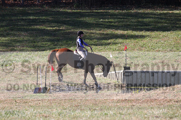 Natalie Williams on The Sundance Kid, Beginner Novice Horse Trials Senior A