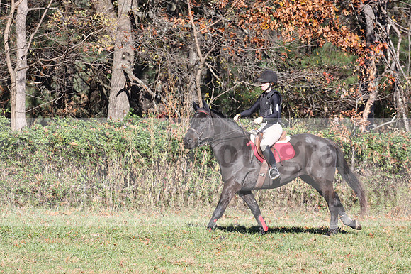 Melissa Kenny on F.O. Calculated Risk, Training Horse Trials