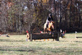 Theresa Thompson on Rated PG, Novice Horse Trials Senior