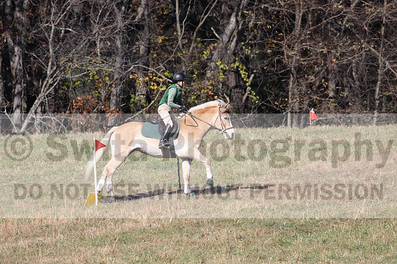 Sally Nunneley on Gingerman, Beginner Novice Horse Trials Senior A