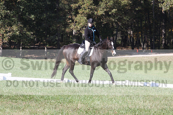 Mimi Combs on Aristocrat, Beginner Novice Horse Trials Senior A