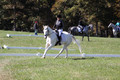 Kay Brady on Destiny's Mystique, Beginner Novice Horse Trials Senior C