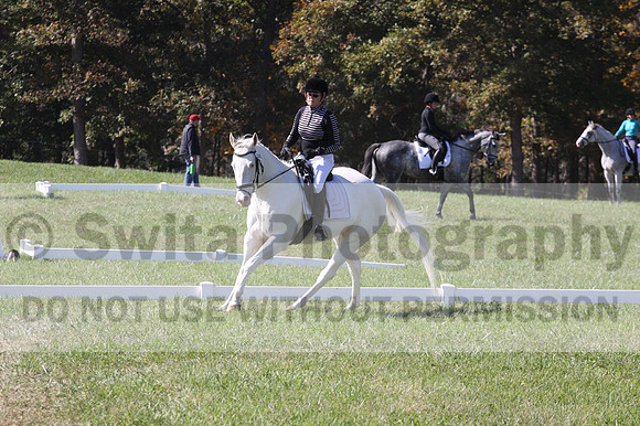 Kay Brady on Destiny's Mystique, Beginner Novice Horse Trials Senior C