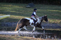 Reagan Roy on Paint By Numbers, Green Horse Trials Junior