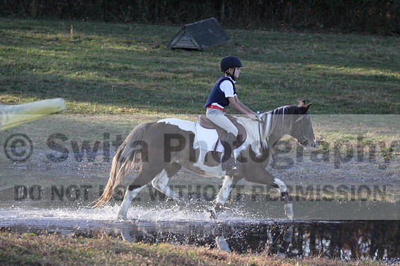 Reagan Roy on Paint By Numbers, Green Horse Trials Junior