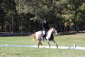 Holly Holbrook on Two Bet Chloe, Beginner Novice Horse Trials Junior A