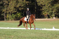 Jenny Rosner on Abbey Moon, Training Horse Trials
