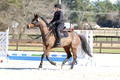 P22K8173