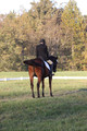 Paula McConnell on Summers Lilac, Dressage Only: Beginner Novice A
