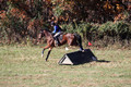 Francesca Toms on Top Secret, Novice Horse Trials Junior