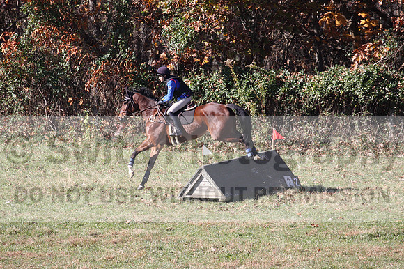 Francesca Toms on Top Secret, Novice Horse Trials Junior