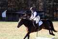 Erica Jones on Bingo, Advanced Green Horse Trials Senior A