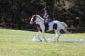 Elizabeth Schooley on Pearl, Advanced Green Horse Trials A