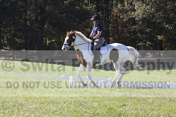 Elizabeth Schooley on Pearl, Advanced Green Horse Trials A