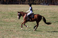 Ingrid Dunn on Ruby Redbird, Beginner Novice Horse Trials Senior C