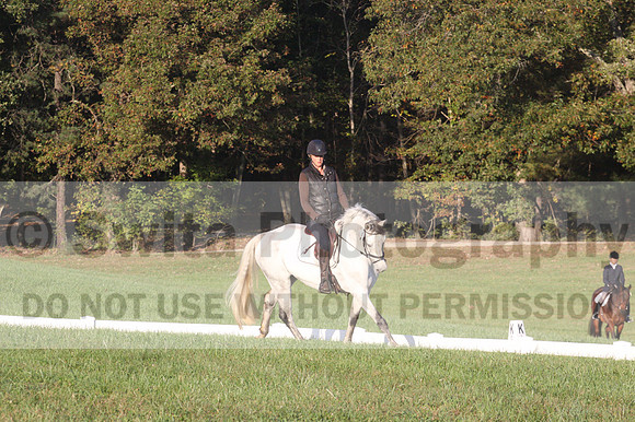 Liz Riley on Ice Storm, Training Horse Trials