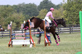 Charlotte Collier on Clifford M