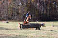 Francesca Toms on Top Secret, Novice Horse Trials Junior
