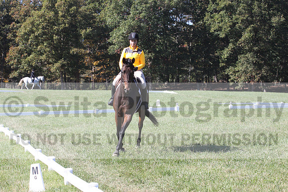 Emily Digney on American Airman, Beginner Novice Horse Trials Senior B
