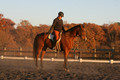 Chris Nicholson on Port Of Call, Dressage Only: First Level, Test 1