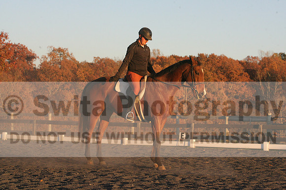 Chris Nicholson on Port Of Call, Dressage Only: First Level, Test 1